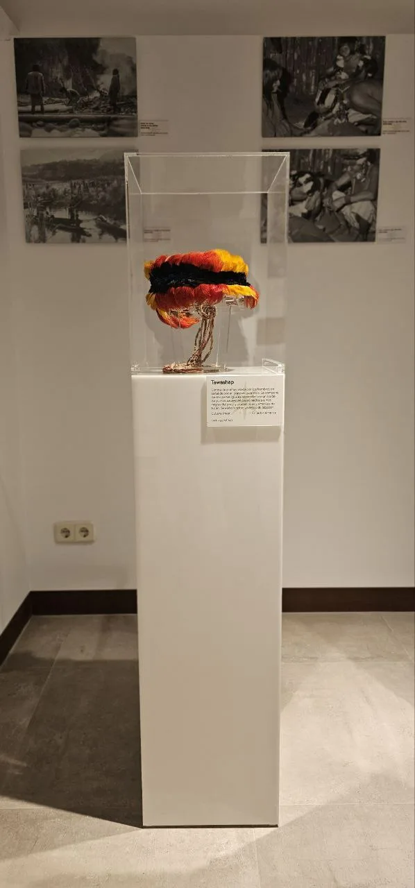 Amazonia COSMOLOGÍA SHUAR 3