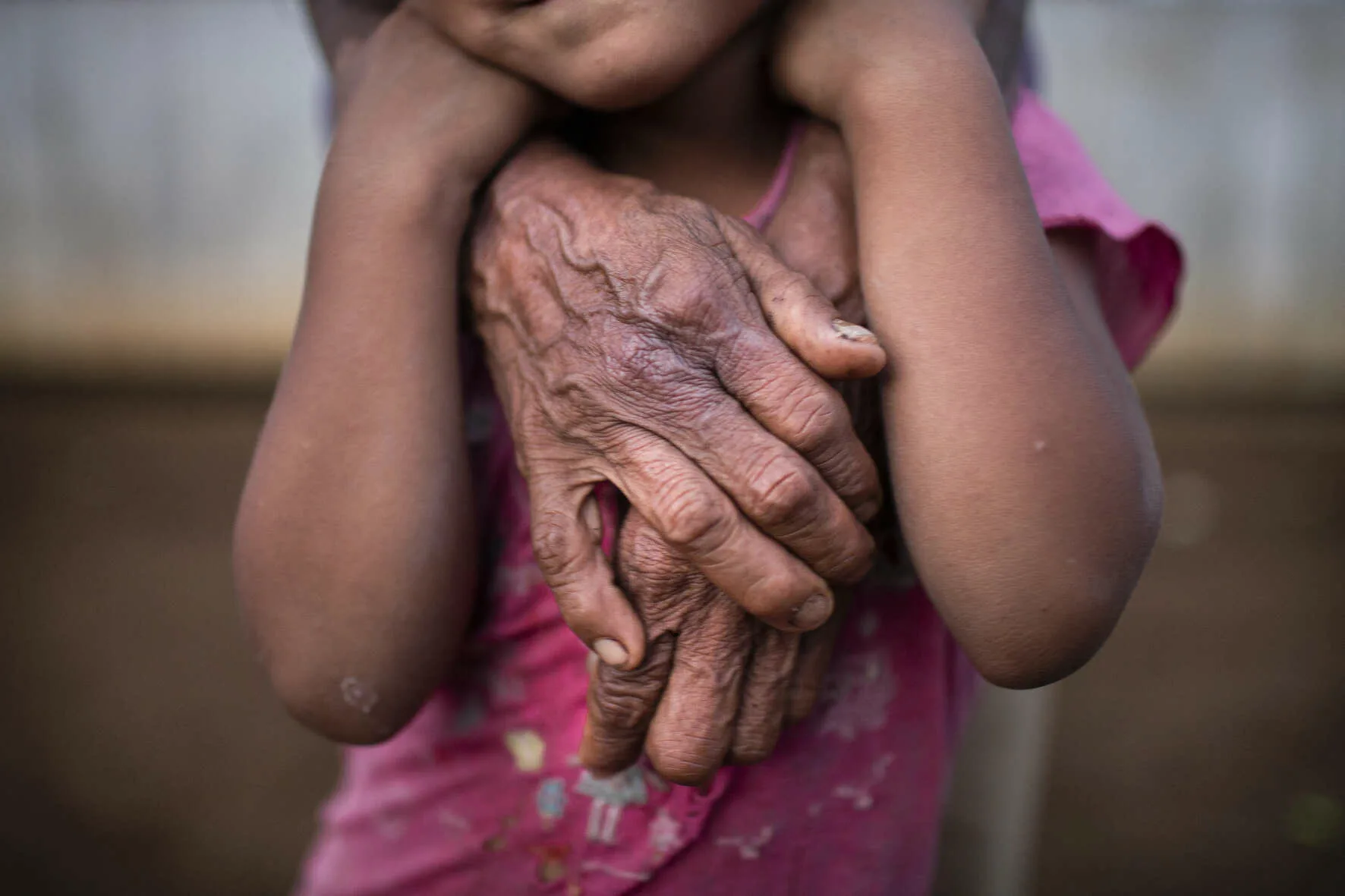 Galeria3_ Exp_Temp_ Amazonia