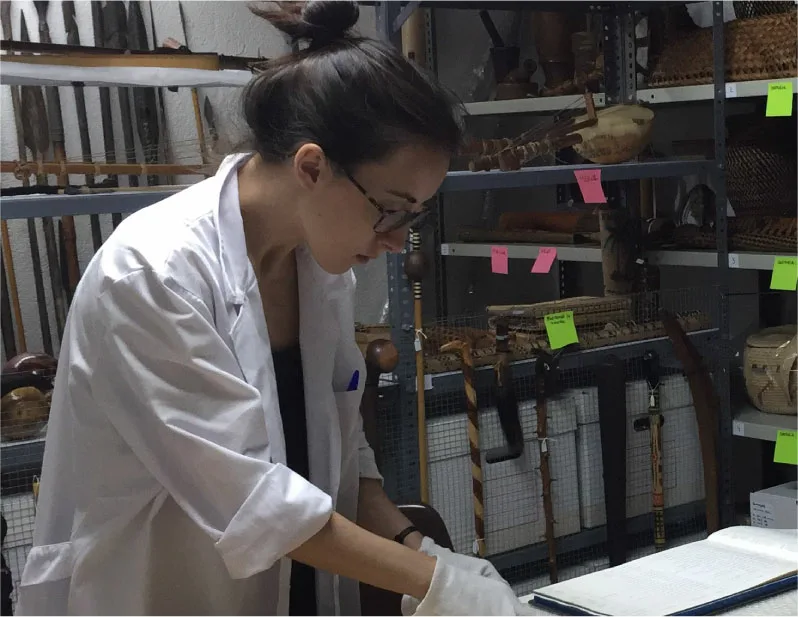 organizacion-equipo-virginia@2x